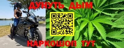 твердый Гусев